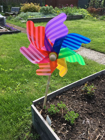 Vindsnurra Pride i pallkrage