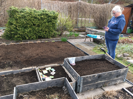 Anna fotar pallkrage