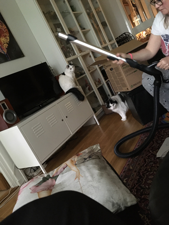 Anna monterar dammsugaren o Tisslingarna ser på