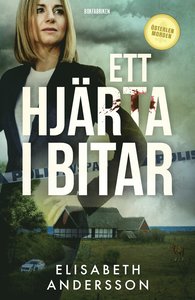 Elisabeth Anderssons bok Ett hjärta i bitar