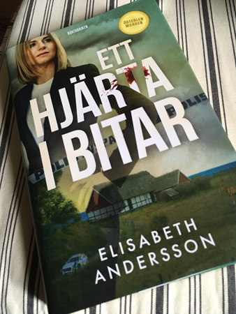 Elisabeth Anderssons bok för recension Ett hjärta i bitar