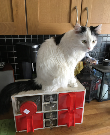 Citrus provsitter Annas loppisfynd från Österbybruk