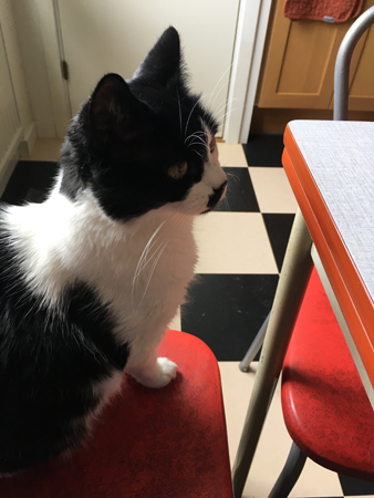 Mini mitt lunchsällskap