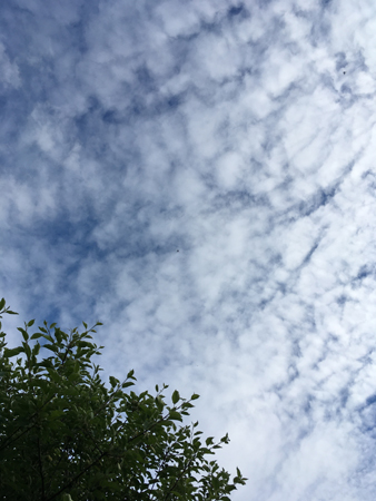 Uppsprickande moln på himlen