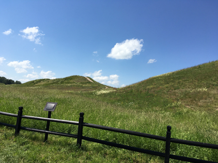 Gamla Uppsala högar