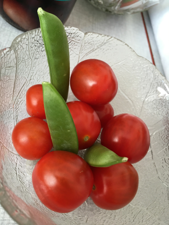 Körsbärstomater och sugar snaps