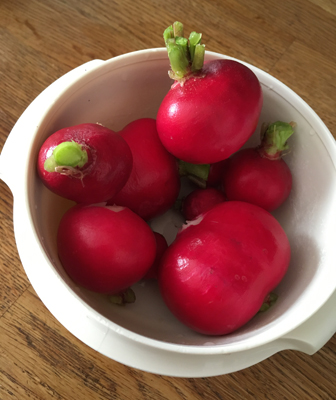 Rädisor stora som tomater