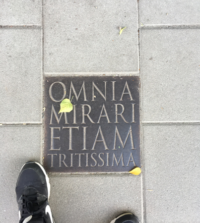 Omnia mirari etiam tritissima