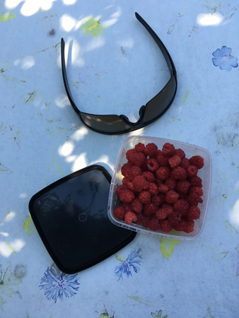 En ask nyplockade hallon