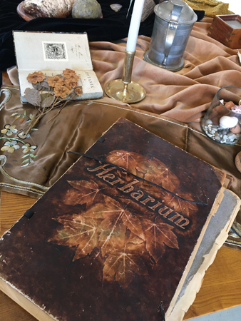 Detalj från Edvard Koingsbergs utställning Herbarium