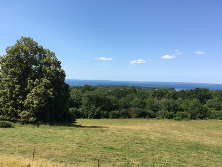 Utsikten vid Övralid