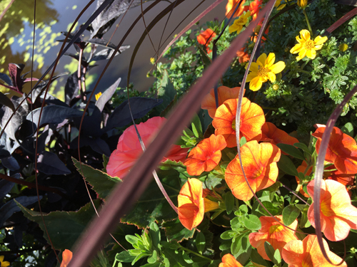 Blommor på St Olofsbron