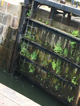 Slussarna i Borenshult