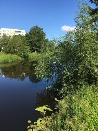 Soligt över Fyrisån