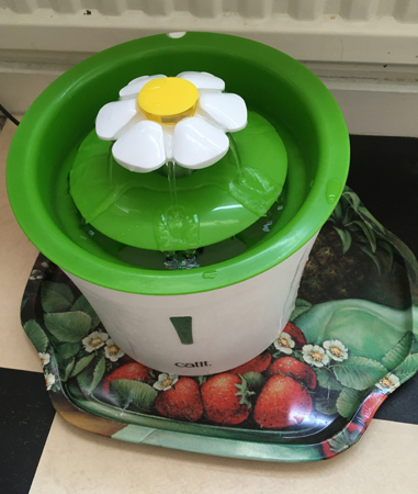 Vattenfontän för katter