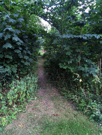 Gångväg i det gröna från huset till kanalen
