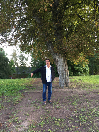 Finske Pinnen pekar ut var utgrävningen av Askahögen skedde