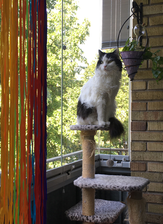 Lucifer på balkongen