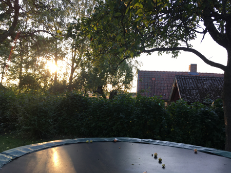 Solnedgång bakom studsmattan och hustaken