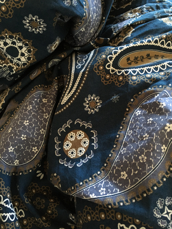 Fina blå paisleylakan hos Inna