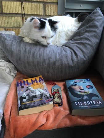 Katten Citrus på en grå kudde med böckerna Hilma och Vit krypta framför sig