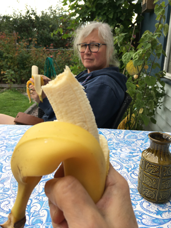 Bananpaus vid Slottet