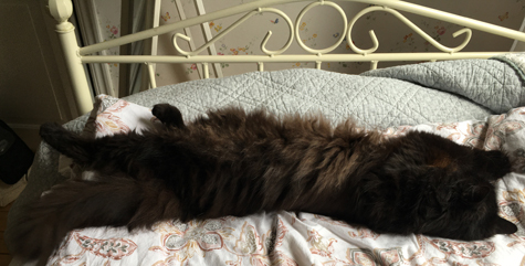 Lukas utsträckt i fotändan på gästsängen