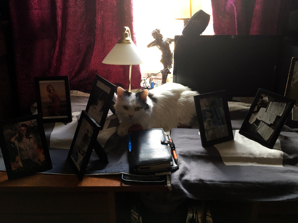 Citrus har klämt upp sig på mitt skrivbord