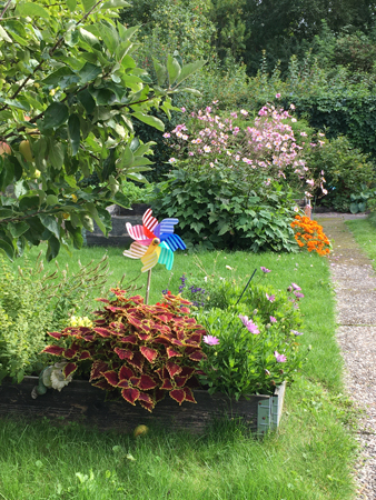 Färger och grönt i Slottsträdgården 29 aug