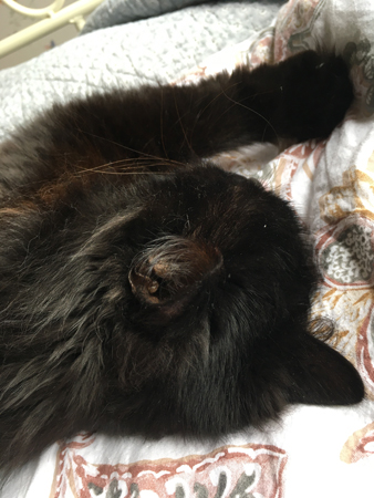 Lukas sover närbild