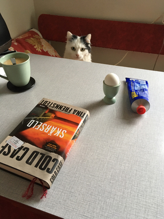 Citrus vid köksbordet lunchdags