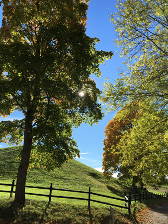 Kungshög höstsol Gamla Uppsala