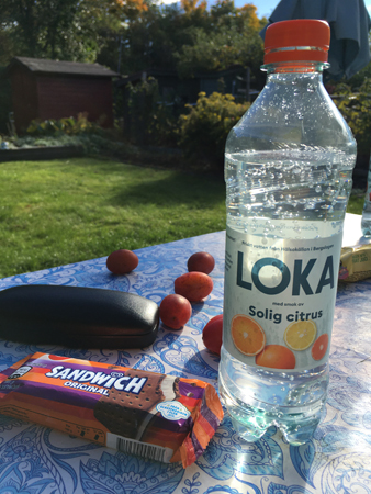 GB Sandwich och Loka i Slottsträdgården