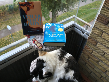 Katten Lucifer med böckerna Vem är Maud Dixon och Grace