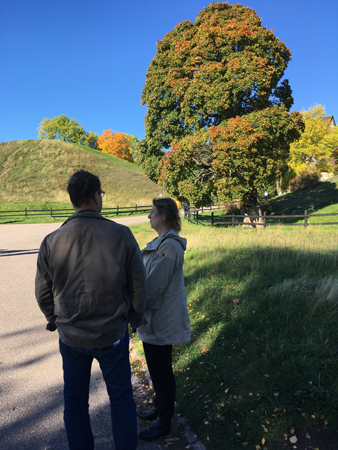 Finske Pinnen och FEM i Gamlis