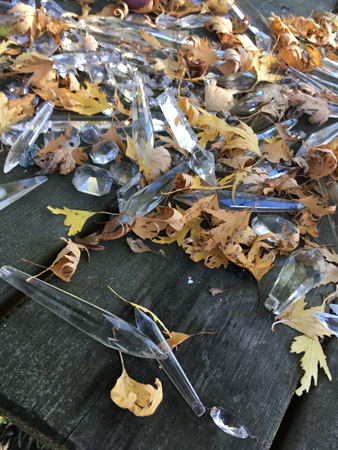 Höstlöv och prismor