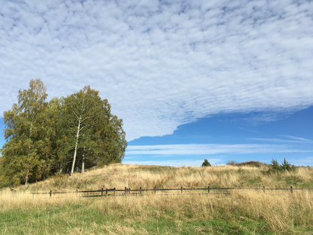 Ljusblå himmel och moln i Gamla Uppsala
