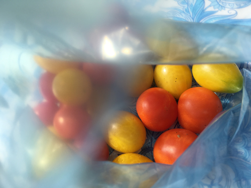 Röda och gula tomater