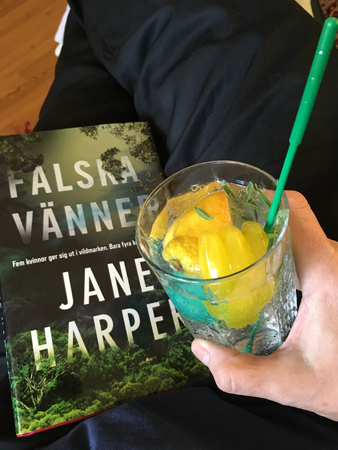 Boken Falska vänner och GT