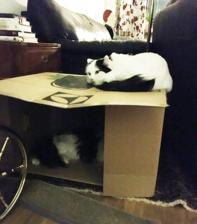 Tisslingarna och dammsugarlådan