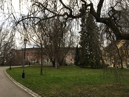 Grönt i universitetsparken