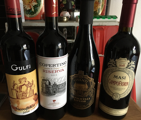 Gulfi Copertino Riserva Villa Vivanti Valpolicella ripasso Masi Campofiorin