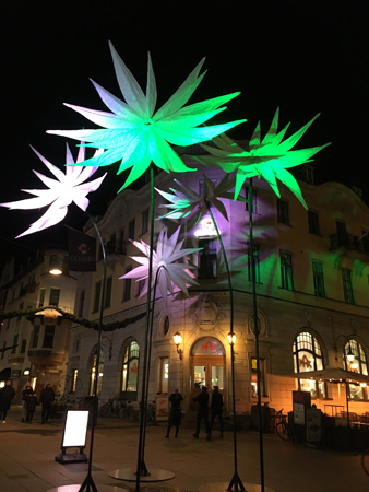 Jätteblommor på Stora torget