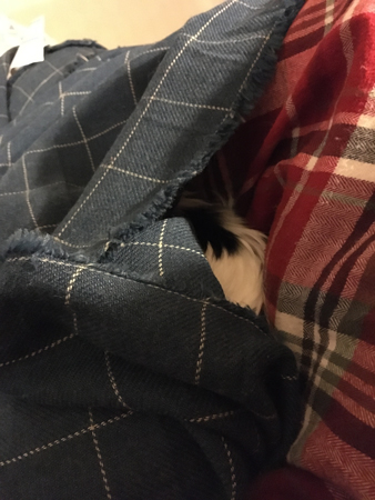 Lucifer i sin filt i sovrummet