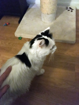 Citrus får lite klapp