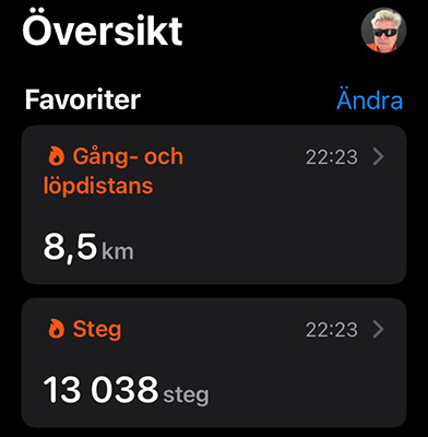 Gångdistans och steg 16 november 2021