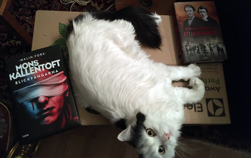 Katten Citrus med böckerna Blickfångarna och Ett lyckligare år