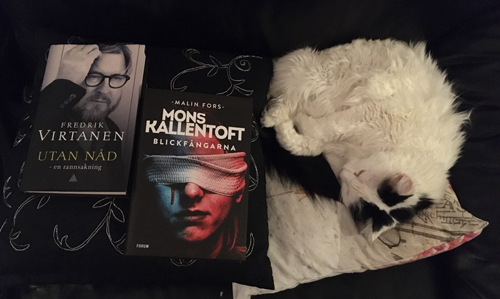 Katten Citrus med böckerna Utan nåd och Blickfångarna