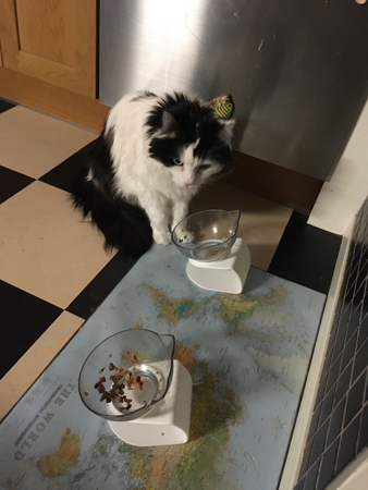 Lucifer vid matskålarna