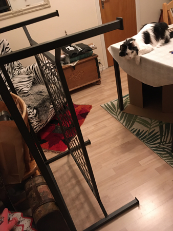 Benställning soffbord och Lucifer